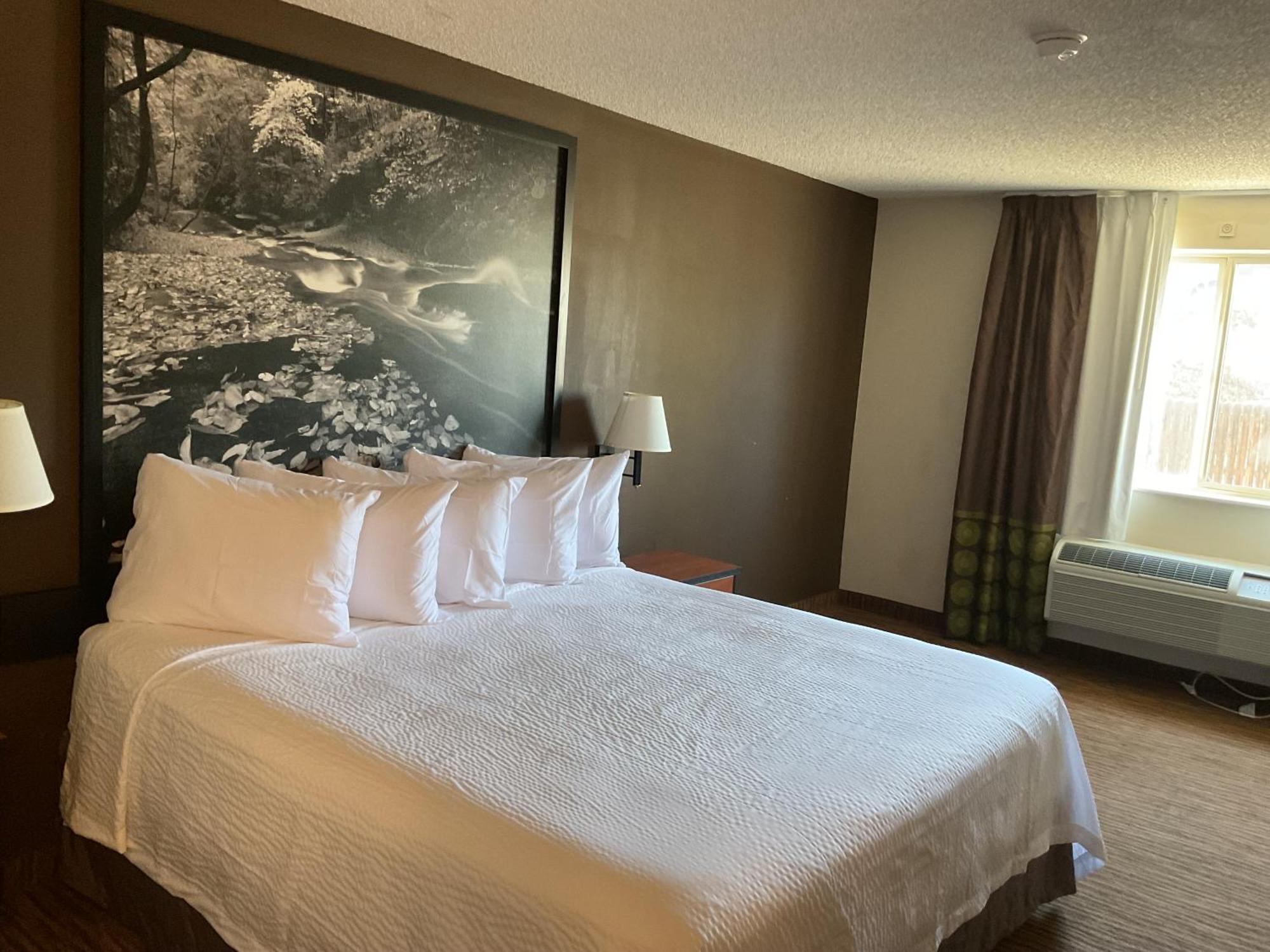Motel Super 8 By Wyndham Colorado Springs Airport Esterno foto